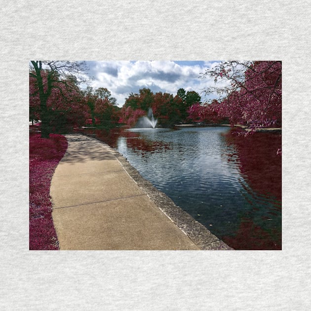 Fantasy Nature Scene with Pink Leaves and Grass Reflecting in the Water - Loose Park Kansas City by Zen Goat 